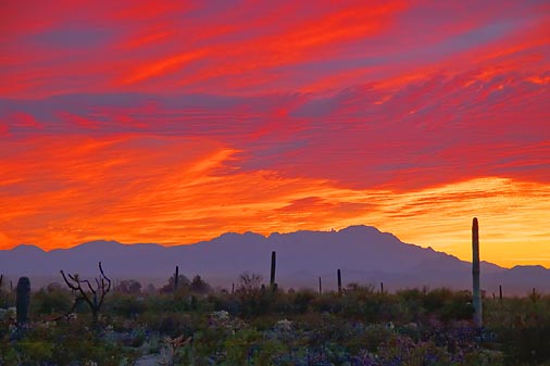 Desert Sunset 20080315