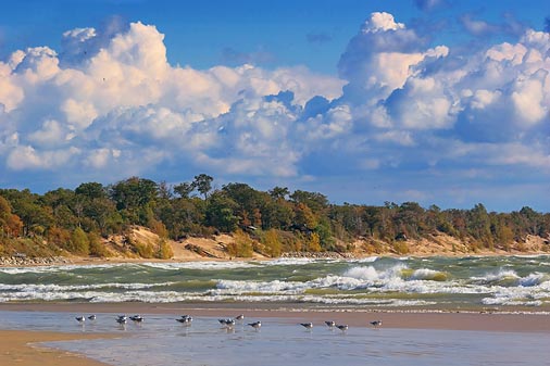 Windy Day At Lake Erie 69655