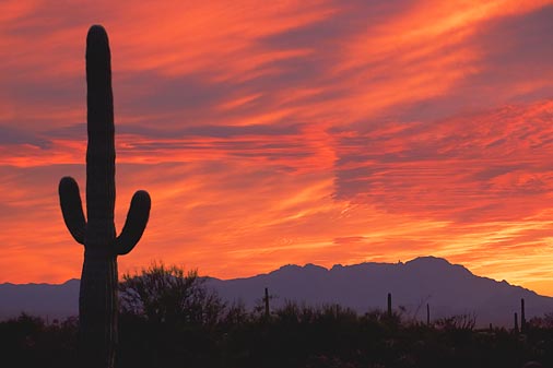 Desert Sunset 87079