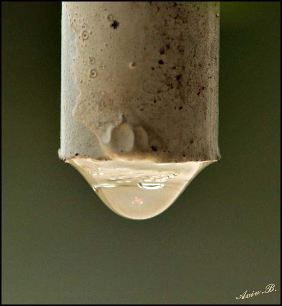 03034 - Water drop