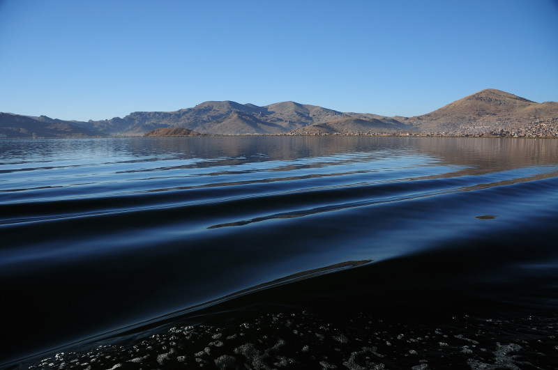 DSC_8328.JPG