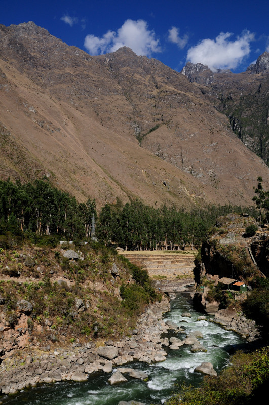 DSC_9981.JPG