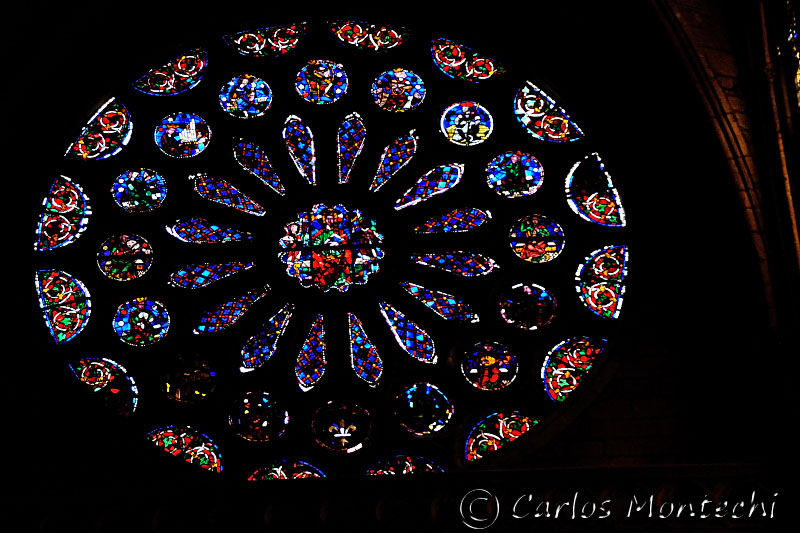 DSC_1038 copy.jpg