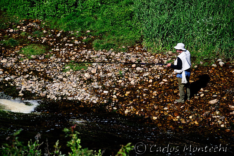DSC_1184 copy.jpg