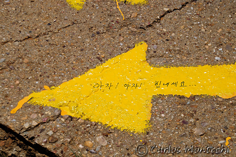 DSC_1219 copy.jpg