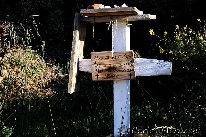 DSC_1346 copy.jpg