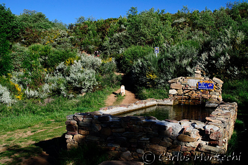 DSC_1359 copy.jpg