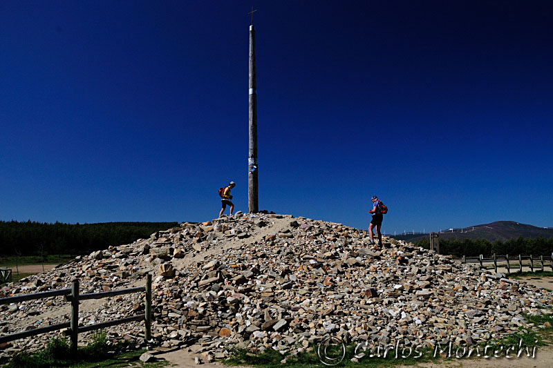 DSC_1397 copy.jpg