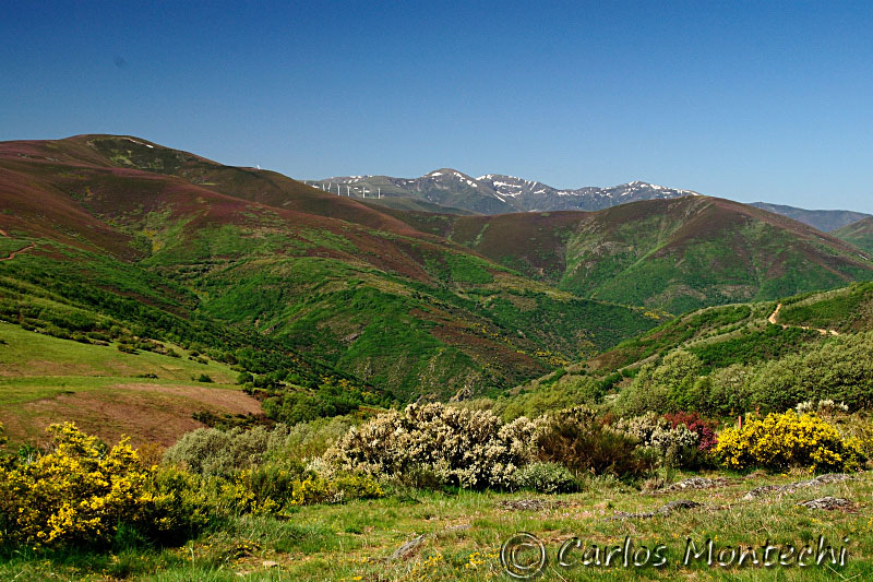 DSC_1401 copy.jpg