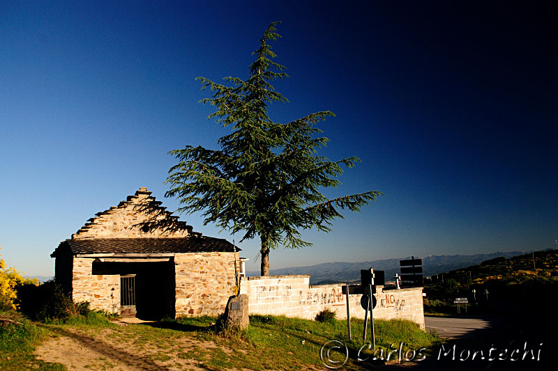 DSC_1492 copy.jpg