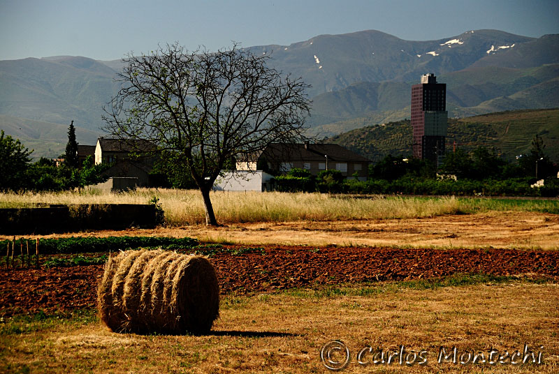 DSC_1692 copy.jpg