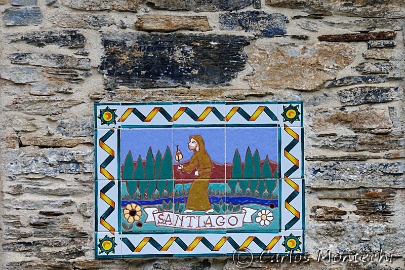 DSC_1827 copy.jpg
