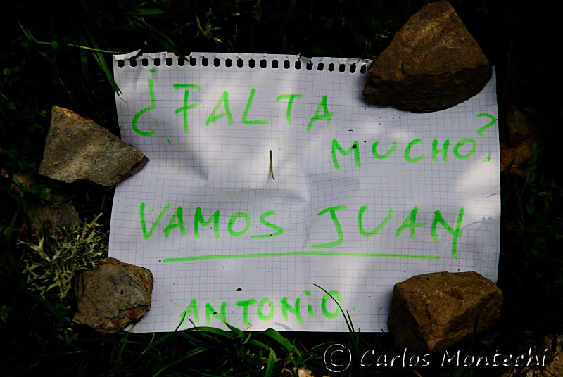DSC_1885 copy.jpg