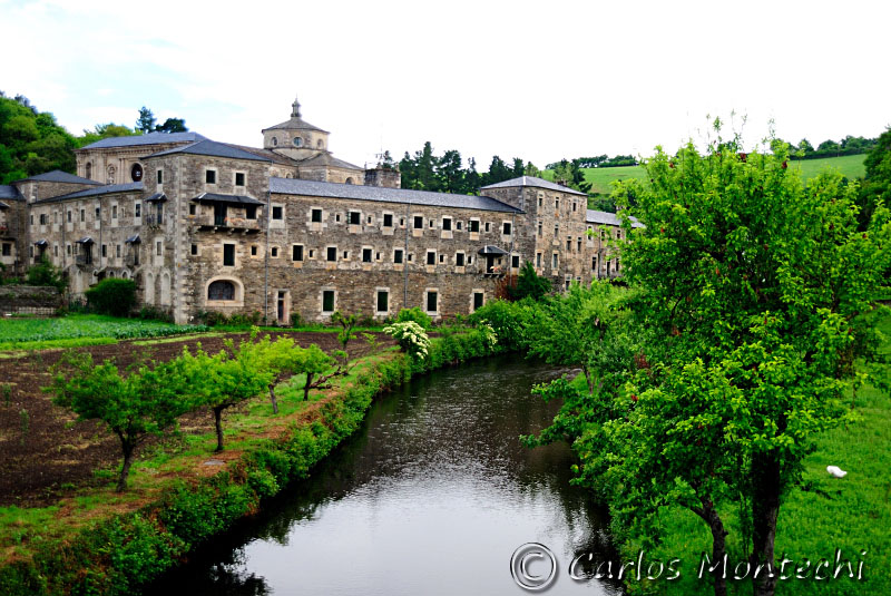 DSC_1997 copy.jpg