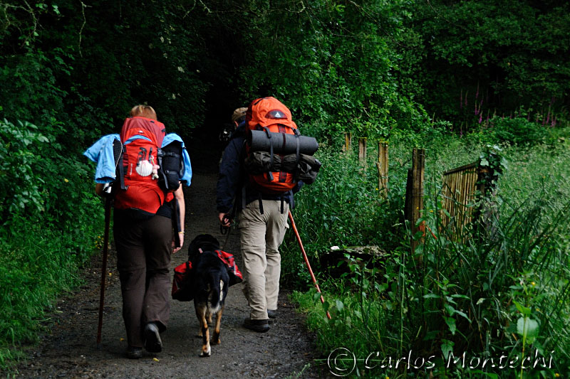 DSC_2354 copy.jpg