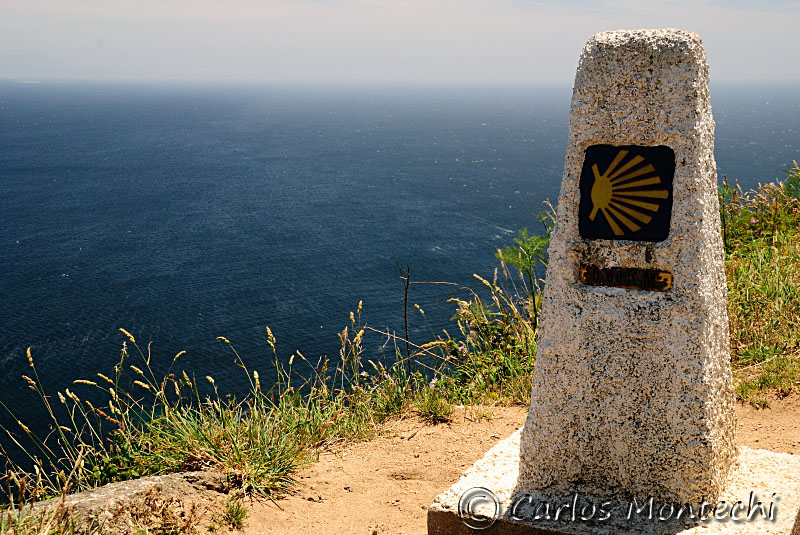 DSC_2735 copy.jpg