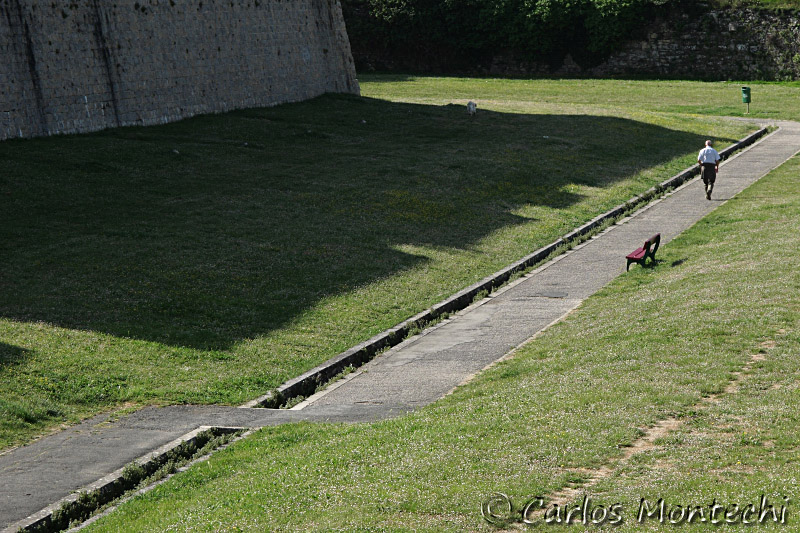 IMG_3223.jpg