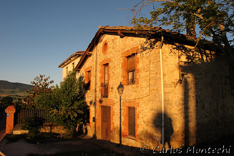 IMG_4036.jpg