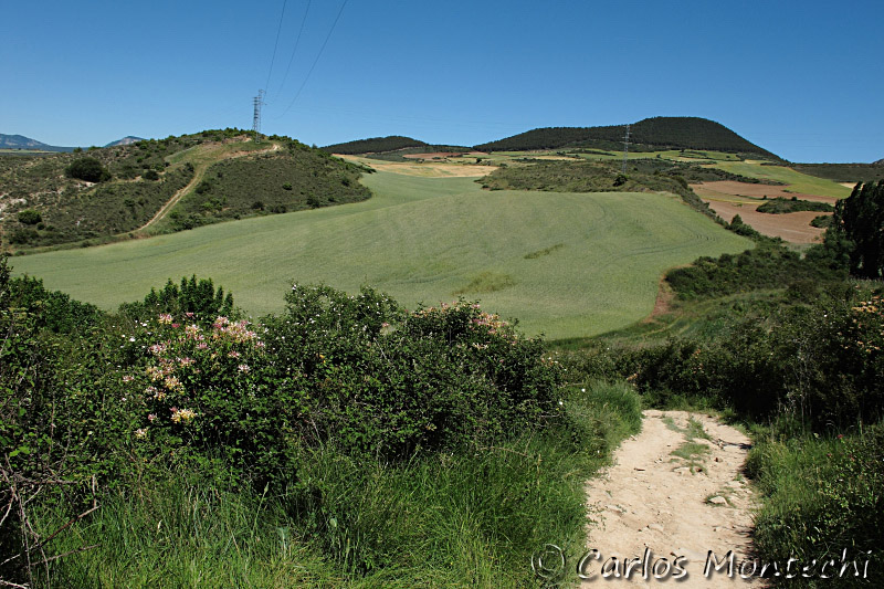 IMG_4414.jpg