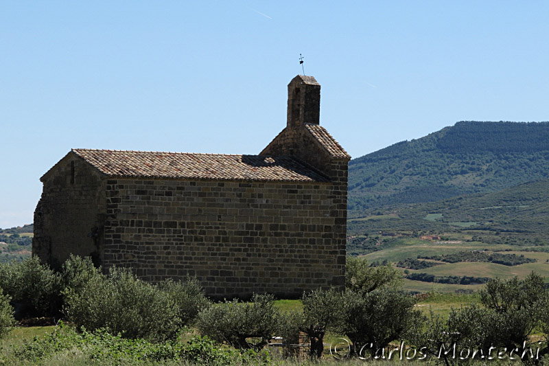 IMG_4474.jpg