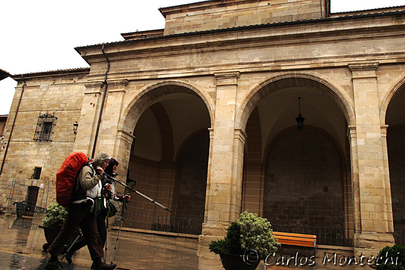 IMG_4669 copy.jpg