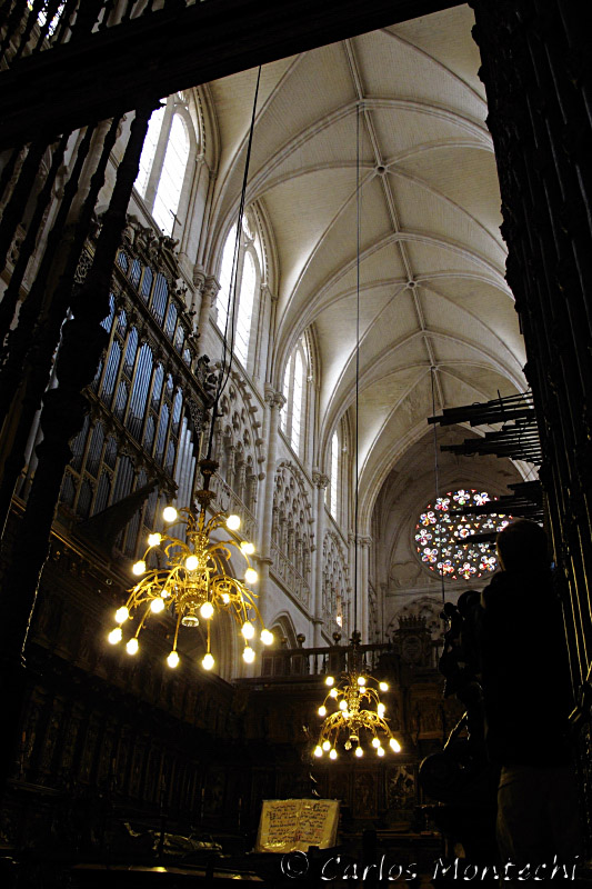 IMG_5246.jpg