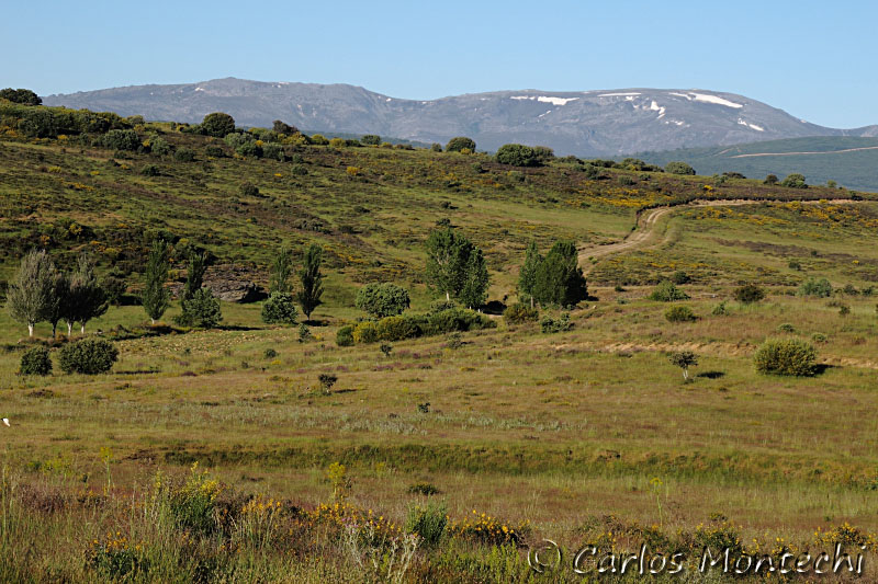 IMG_6389.jpg