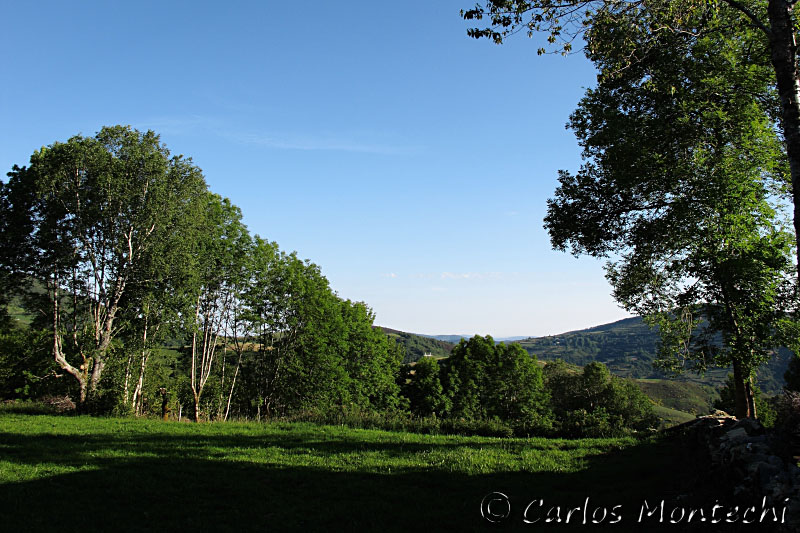 IMG_7028.jpg