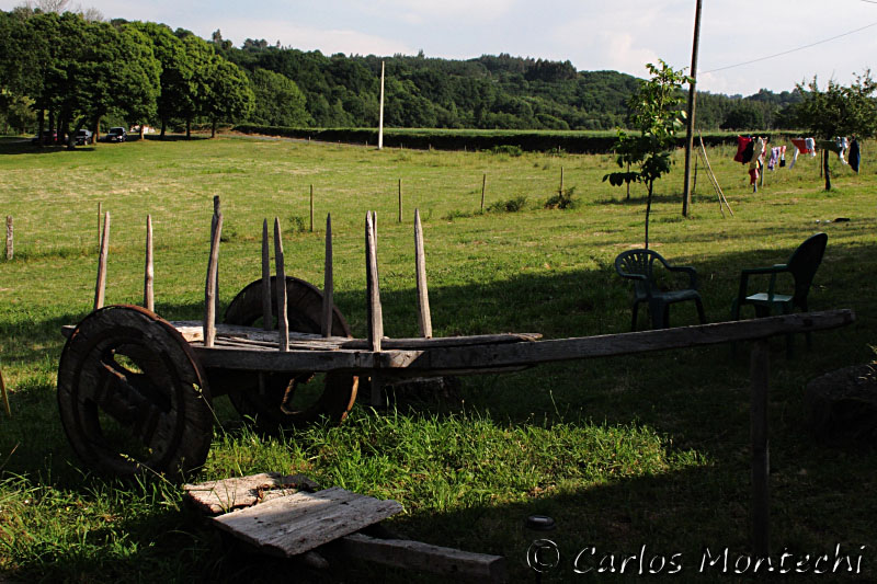 IMG_7637.jpg