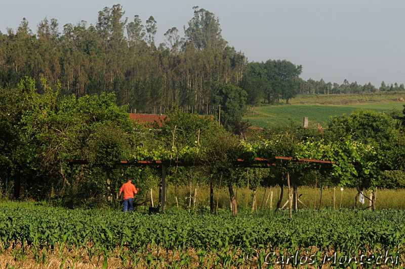 IMG_7824.jpg