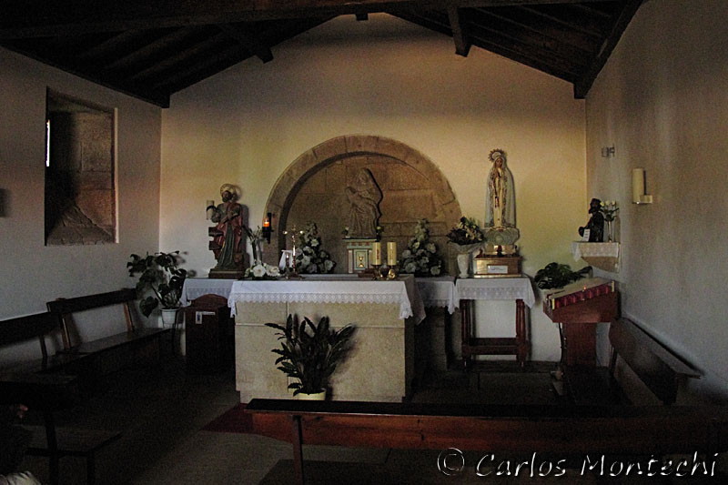 IMG_7864 copy.jpg