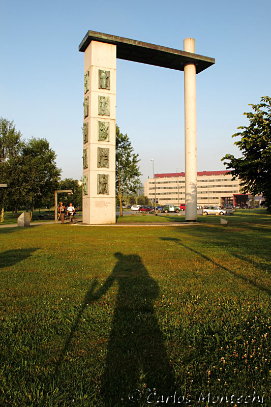 IMG_7950.jpg