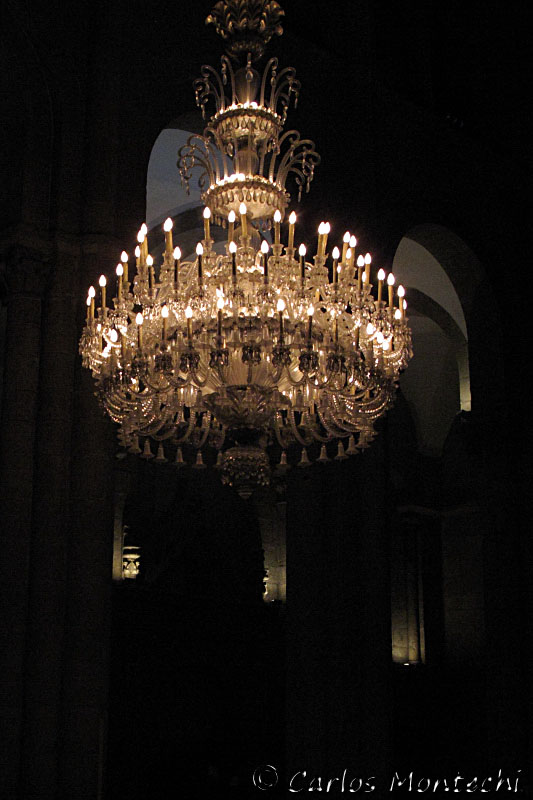 IMG_8037.jpg