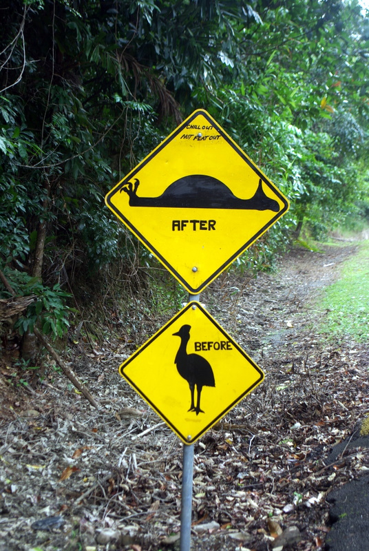 Cape Tribulation - 60 Was a Speed Bump sign.JPG