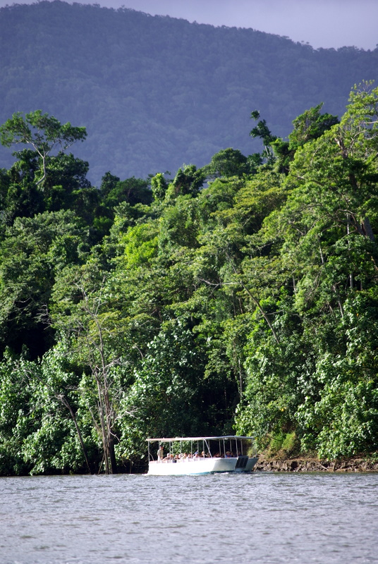 Daintree River - 80 Cruise Boat.JPG