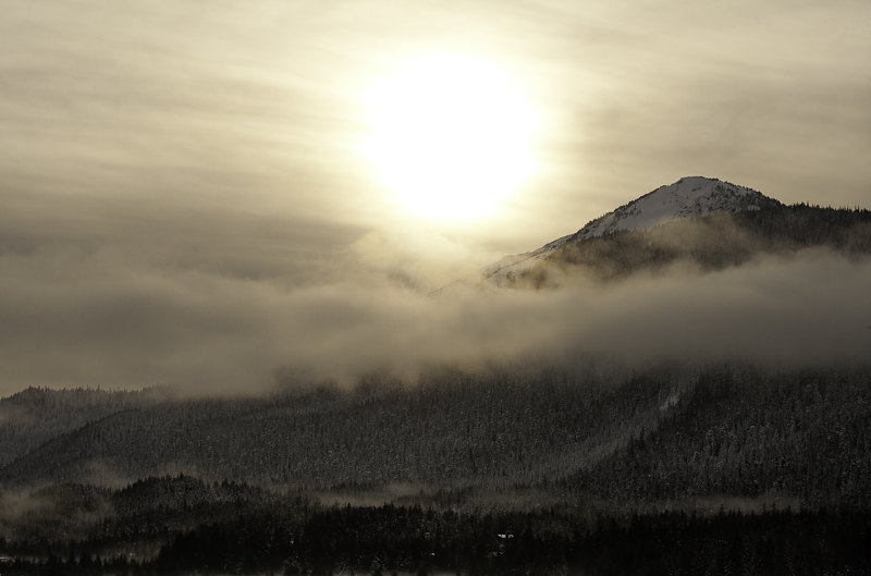 Winter light on Douglas 800-0009.jpg
