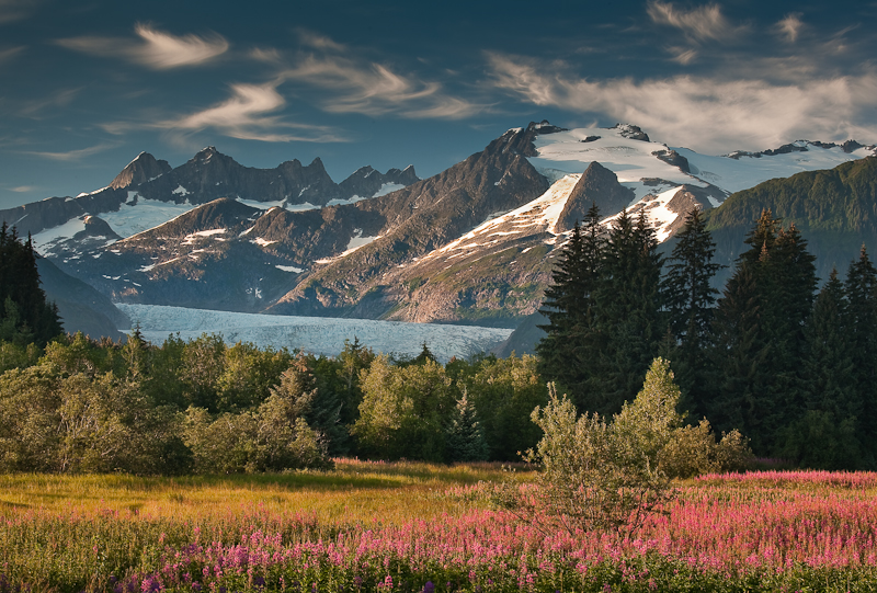 Summer view of the Mendenhall Towers from Brotherhood Bridge-9365.jpg