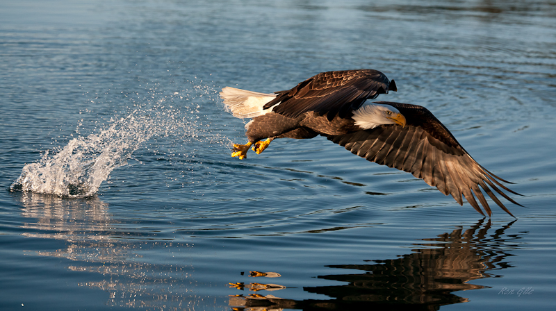 Eagle set saturday lr-7621.jpg