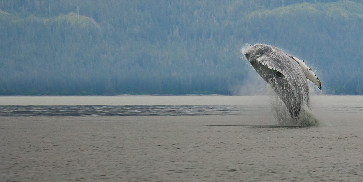 Amanda trip to Holkem Bay-7619.jpg