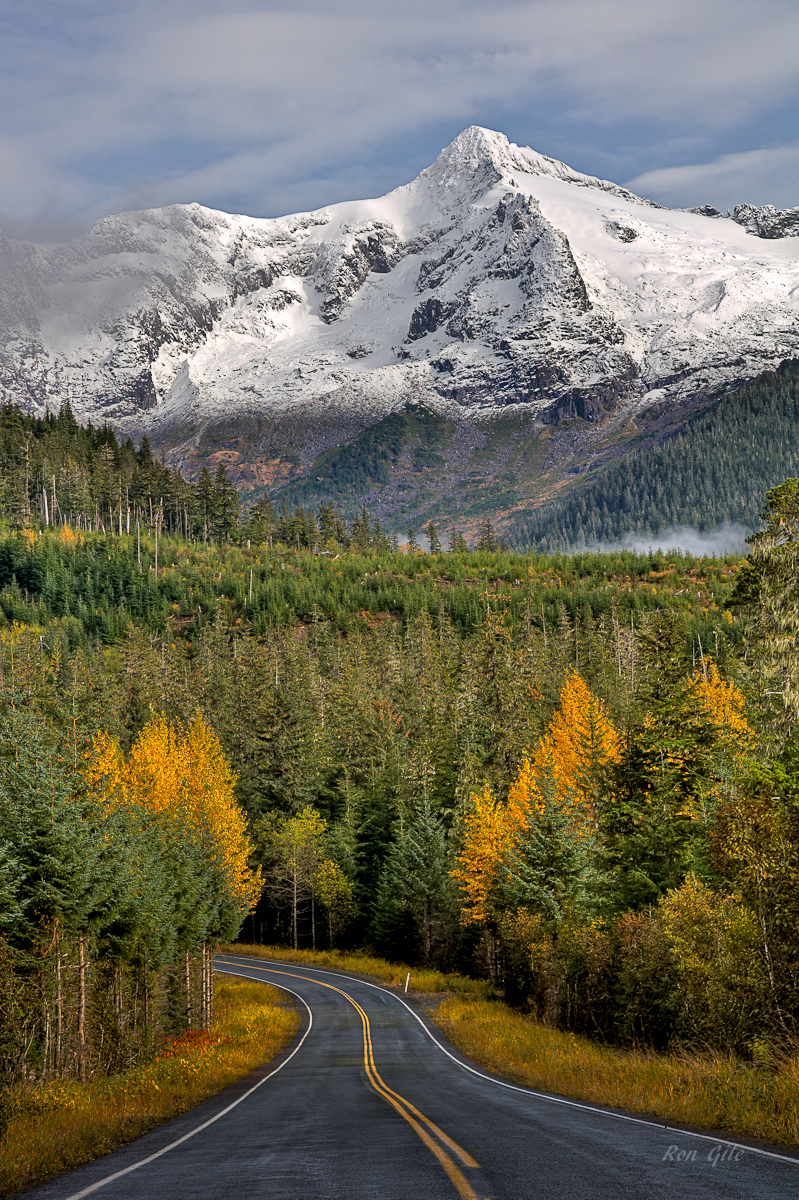 End of road fall colors-.jpg