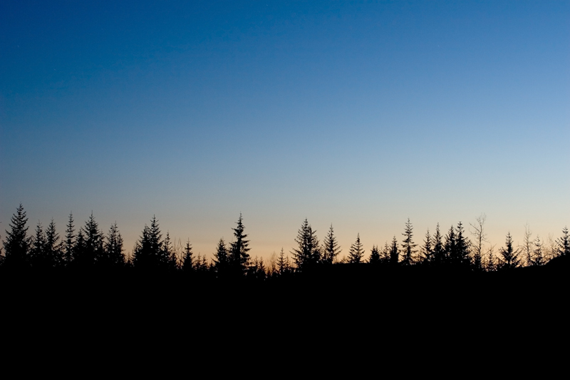 Night Watch April 3