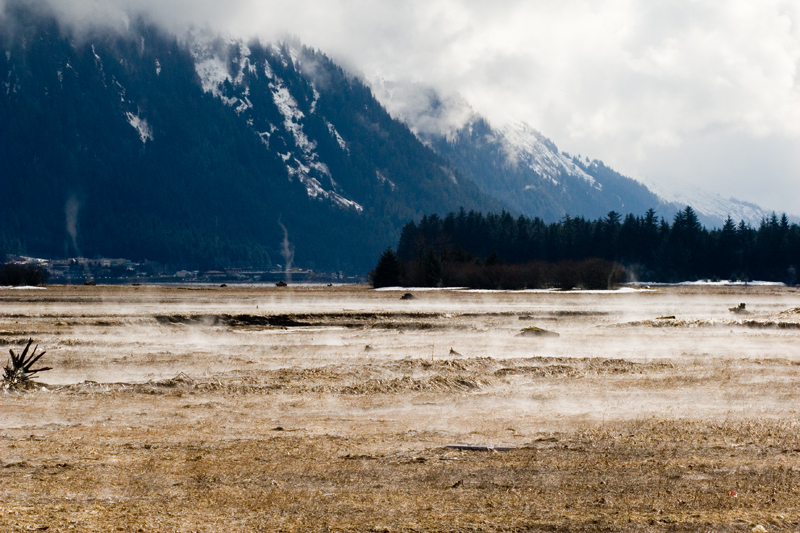 wetlands mist  April 11