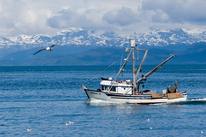 Long liner off Homer spit  Alaska June 7