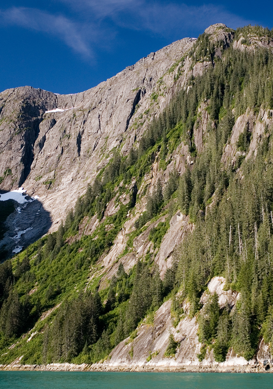 Mountain goat world