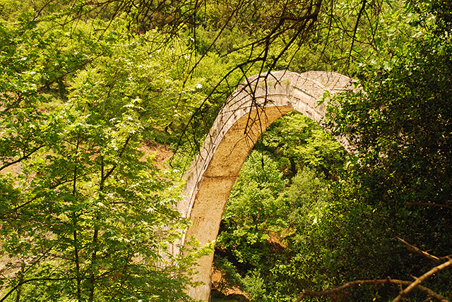 Plakas Bridge