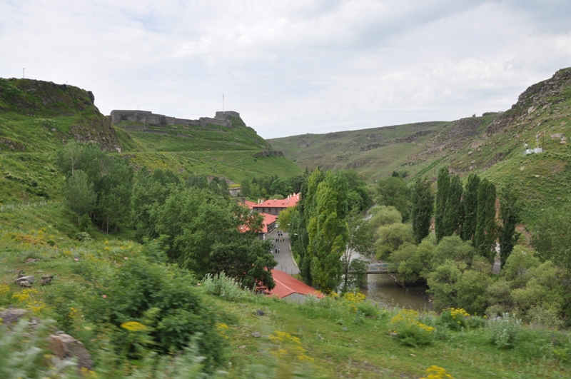 2011 06 20 1145.JPG