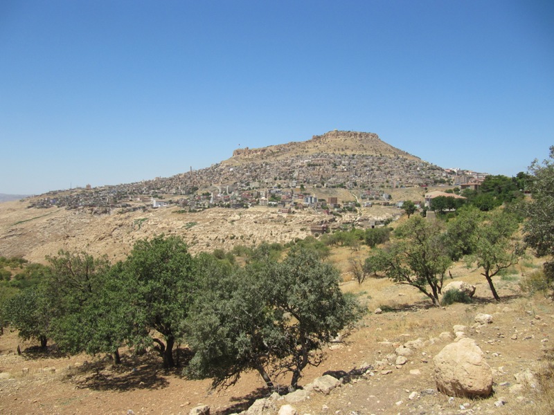 20100801 184.jpg