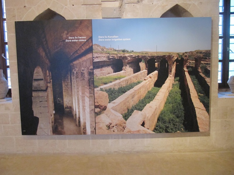 20100801 236.jpg