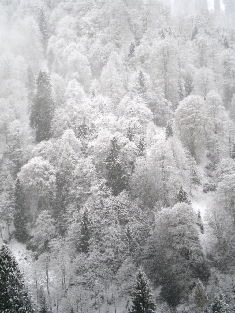 2007 04 17 110.jpg