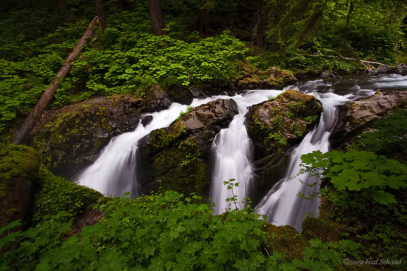 Falls at Sol Duc